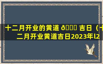 十二月开业的黄道 🕊 吉日（十二月开业黄道吉日2023年l2月25日）